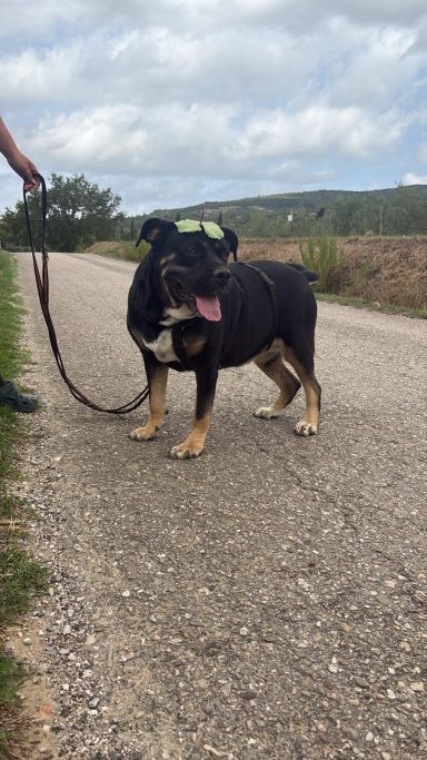 Trudy 29.08.2026