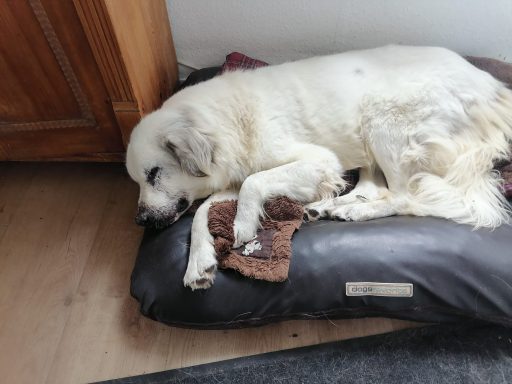 Minni 18.07.2026