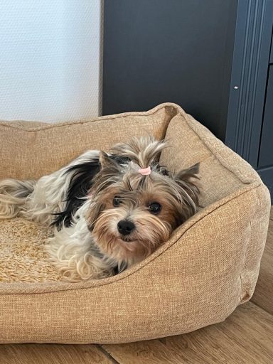 Trudy 28.04.2024