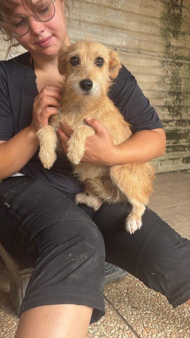 Penny 29.08.2026