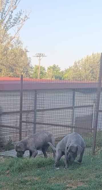 Zeus + Teresa 20.06.2026